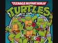 Youtube Thumbnail Teenage Mutant Ninja Turtles Theme