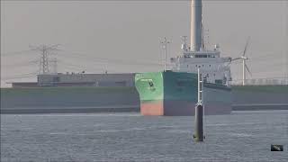 Arklow Wind Gebouwd Bij Ferus Smit Yard Leer