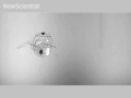 Four-winged robot flies like a jellyfish