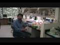 Agar plate - Stab culture Agar plate - Stab culture