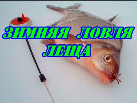 спортивная снасть для леща спортивная снасть для леща
