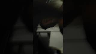 Coli Di Depan Rt.