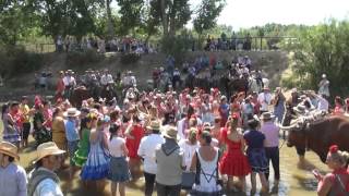 ROCÍO 2015 SEXTO DÍA