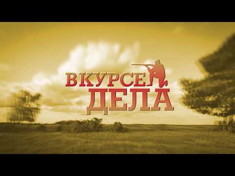 обучение нахлысту в санкт петербурге обучение нахлысту в санкт петербурге
