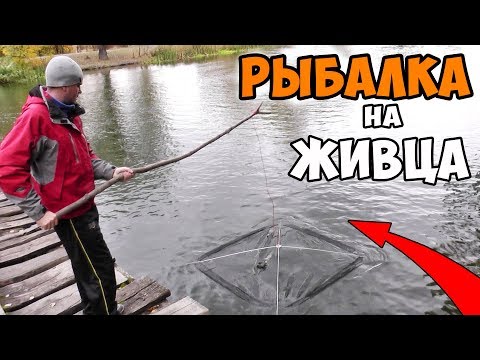 ловля больших щук на удочку ловля больших щук на удочку