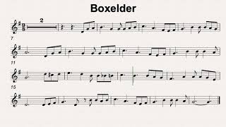 G Maj 98 Boxelder 70bmp