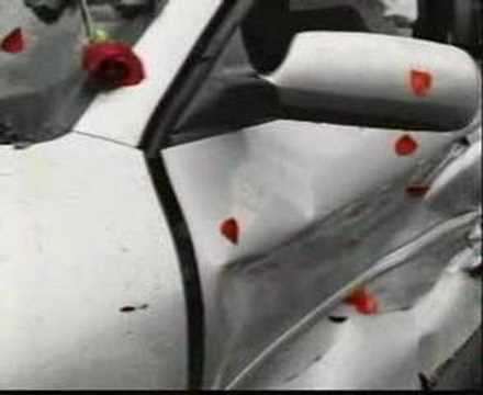 Kill Your Speed, Not a Flower
