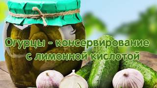 Огурцы - консервирование с лимонной кислотой Огурцы - консервирование с лимонной кислотой