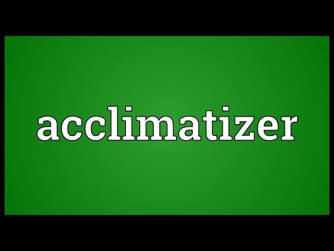 Header of acclimatizer