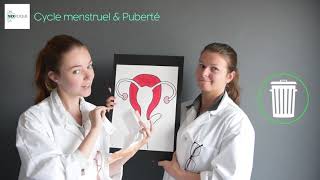 Cycle menstruel & Puberté