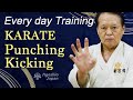 5 min Karate Training | Punching and Kicking | Ageshio Japan