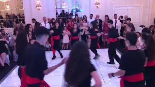 Ashmole Greek School Dinner & Dance | Nikos Vertis - Den Paei Na Lei