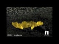 3d animation gold-silver ore deposits