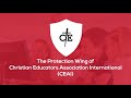 The Protection Wing of CEAI - What We Do ceaiorg