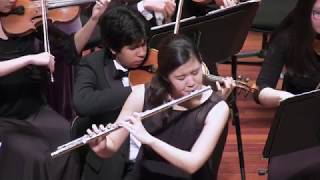 Reinecke Concerto for Flute in D Major, Op. 283 - SDYS 2017 Chamber Orchestra