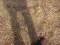 RUSSIANS