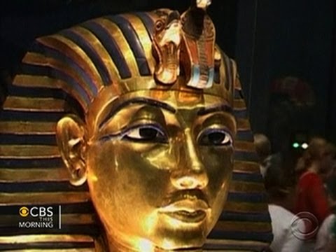 who killed king tut essay who killed king tut essay