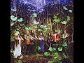 Rose Windows - Native Dreams