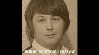Watch Brian Wilson The Little Girl I Once Knew video