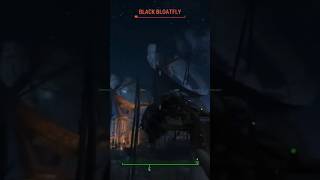 How I Deal With Bugs In Real Life Too
