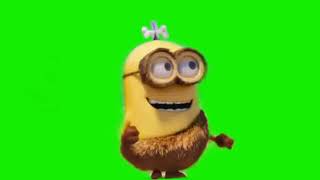 Minion green screen