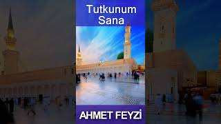 Tutkunum Sana - Ahmet Feyzi