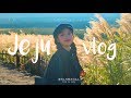 Download 가을엔 제주도! 4박 5일 제주 여행 브이로그 🍂 Jeju Travel VLOG #10 | Jody 조디 가을엔 제주도! 4박 5일 제주 여행 브이로그 🍂 Jeju Travel VLOG #10 | Jody 조디