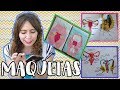 Maquetas de biología // Aparato reproductor masculino y femenino