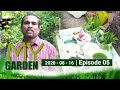 My Garden 16-08-2020