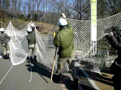 多摩動物公園 猛獣脱出対策訓練 その2