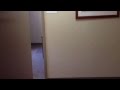 Office Suite