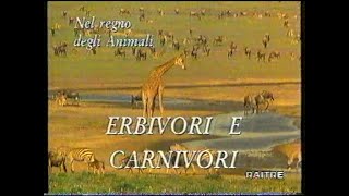 Nel Regno Degli Animali - Erbivori E Carnivori