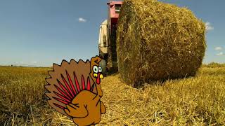 Turkey In The Straw Trad.american - Arr. P.m.adamson