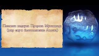 Попытки подкупа Пророка Мухаммада (мир ему и благословение Аллаха)