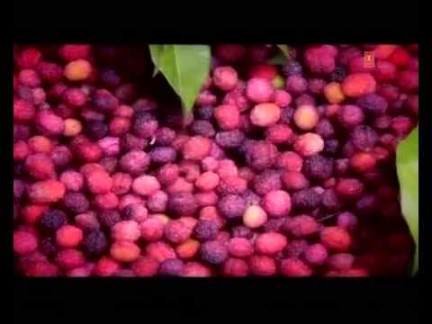 Ud Ja Panchhi (Kumaoni Folk Song) - Ki Bhalo Tero Mann