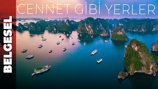 Dünyanın En Güzel 5 Yeri Hayat İzi Doğa Belgeseli En İyi Belgeseller Türkçe Dublaj Belgesel