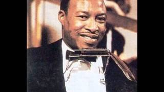 Watch Jimmy Reed You Upset My Mind video
