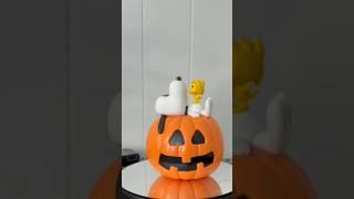 Peanuts Snoopy And Woodstock Pumpkin Funko Pop