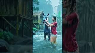 Tears And Rain A Village Girl Bathing Her Horse