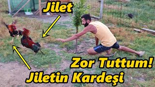 Jiletin Kardeşini Getirdim-Hangisi Daha İyi-Zor Ayırdım