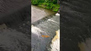 Fergus, Ontario