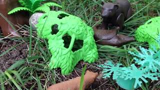 Black Bear Vs. Grizzly Bear