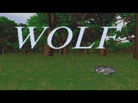 Click To Play youtube