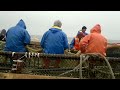 Video Рыбалка по Сахалински :-)