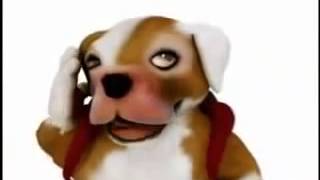 Perro Chaparrón En Hd