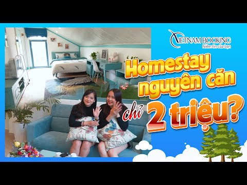 Homestay Đà Lạt - Bao nguyên căn "Home De Su" chưa đến 2 triệu | Vietnam Booking