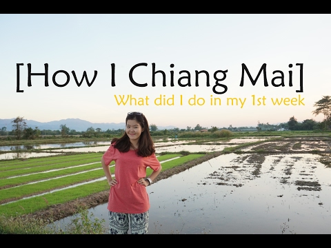 Chiang Mai Trip Ngày đầu tiên ở Chiang Mai - Chiang Mai 1st day
