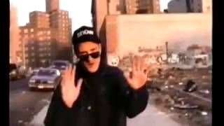 Watch Snow Girl Ive Been Hurt LP Version video