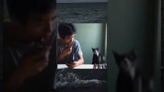 Laughing Meme Meme Template 4K Laughing