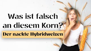 Was ist falsch an diesem Korn? Der nackte Hybridweizen